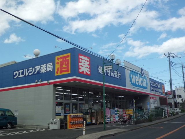 ドラックストア　ウエルシア薬局市川東国分店（ドラッグストア）まで491m