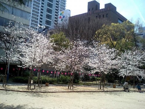 公園　新町北公園（公園）まで392m