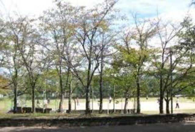 公園　鳥屋近隣公園（公園）まで572m
