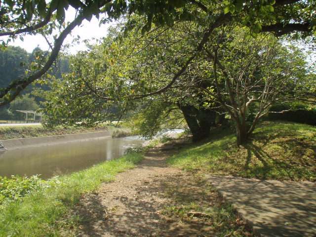 公園　陵南公園（公園）まで480m
