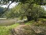 公園　陵南公園（公園）まで480m