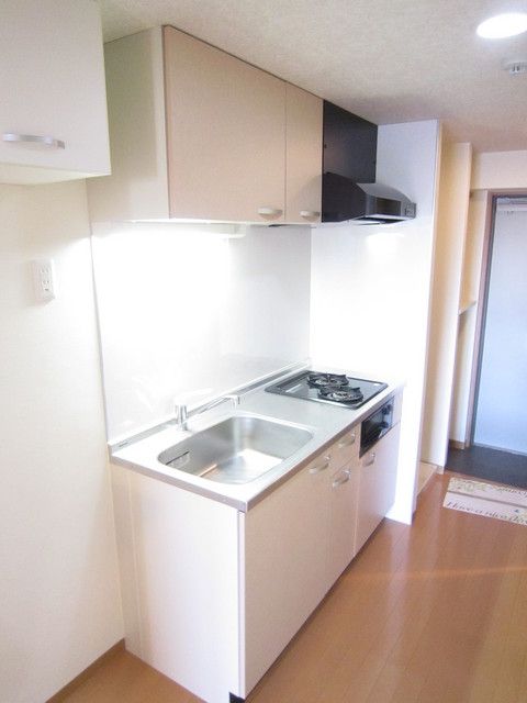 キッチン　2口ガスシステムキッチン