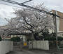 小学校　名古屋市立老松小学校（小学校）まで605m