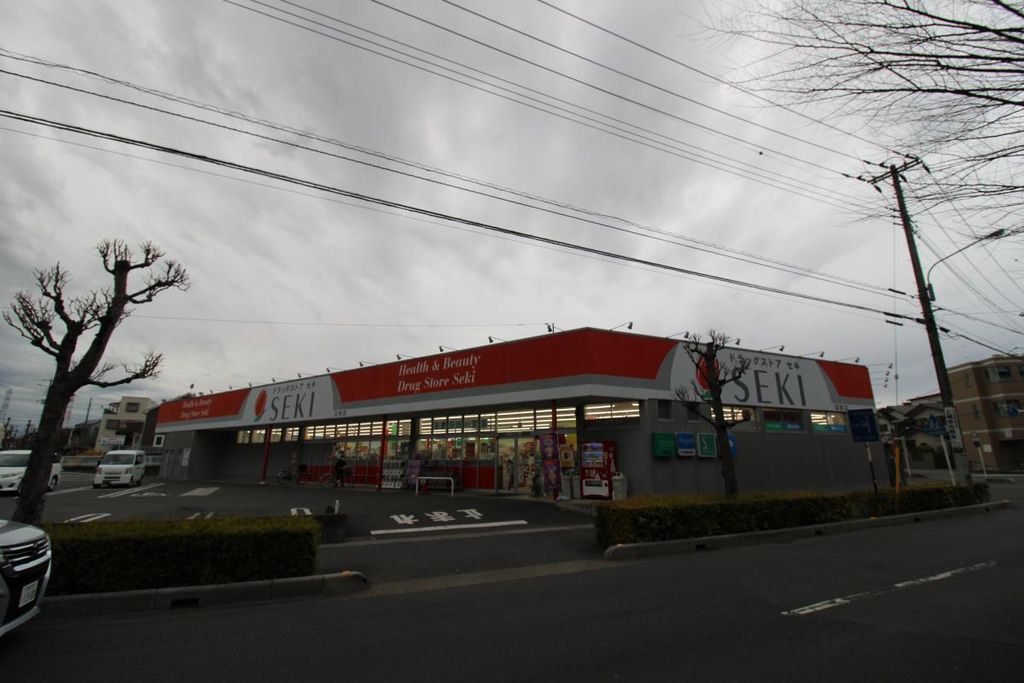 ドラックストア　ドラッグストアセキ沼南店（ドラッグストア）まで810m