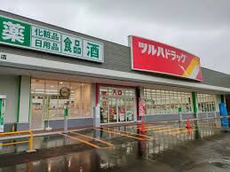 ドラックストア　ツルハドラッグ豊平5条店（ドラッグストア）まで627m