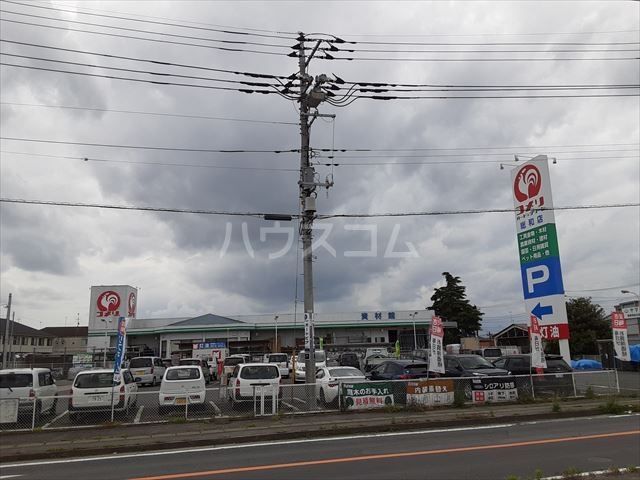 ホームセンター　コメリハード＆グリーン総和店（ホームセンター）まで893m