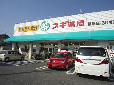 ドラックストア　スギ薬局 築地店（ドラッグストア）まで1009m