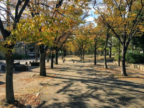 公園　大庄公園（公園）まで378m