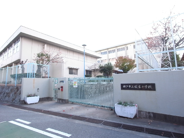 小学校　神戸市立枝吉小学校（小学校）まで1030m