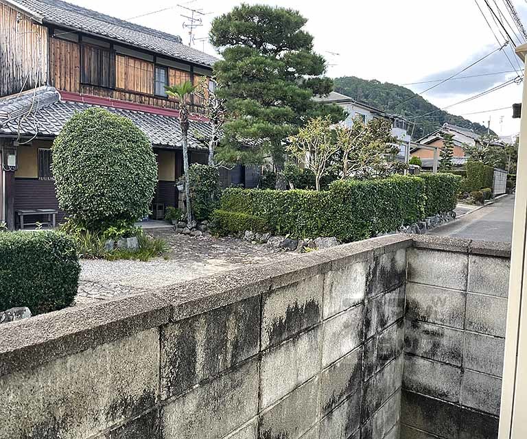 眺望