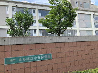 幼稚園・保育園　たちばな中央保育園（幼稚園・保育園）まで562m