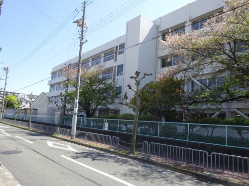 中学校　西宮市立鳴尾中学校（中学校）まで271m