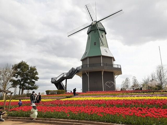 公園　霞ヶ浦総合公園（公園）まで1250m