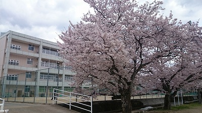 中学校　日田市立三隈中学校（中学校）まで152m
