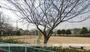 公園　上之町南公園（公園）まで215m