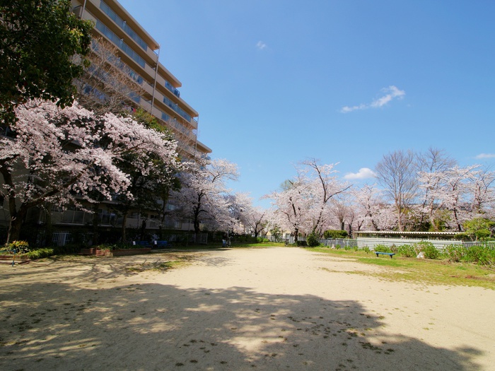 公園　杉谷公園（公園）まで412m