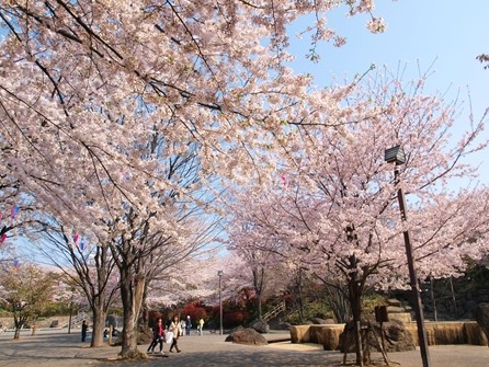 公園　飛鳥山公園（公園）まで767m