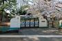 幼稚園・保育園　大光院幼稚園（幼稚園・保育園）まで174m