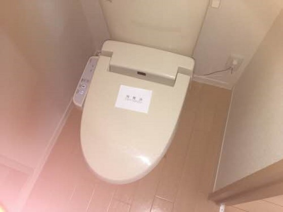 ＪＲ津山線 法界院駅 徒歩8分 2階建 築15年のトイレ写真