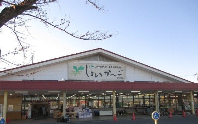 スーパー　しょいか～ご（スーパー）まで550m