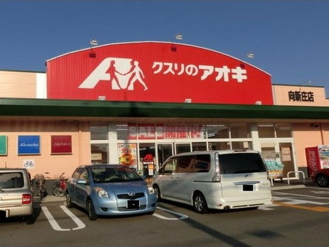ドラックストア　クスリのアオキ 向新庄店（ドラッグストア）まで675m