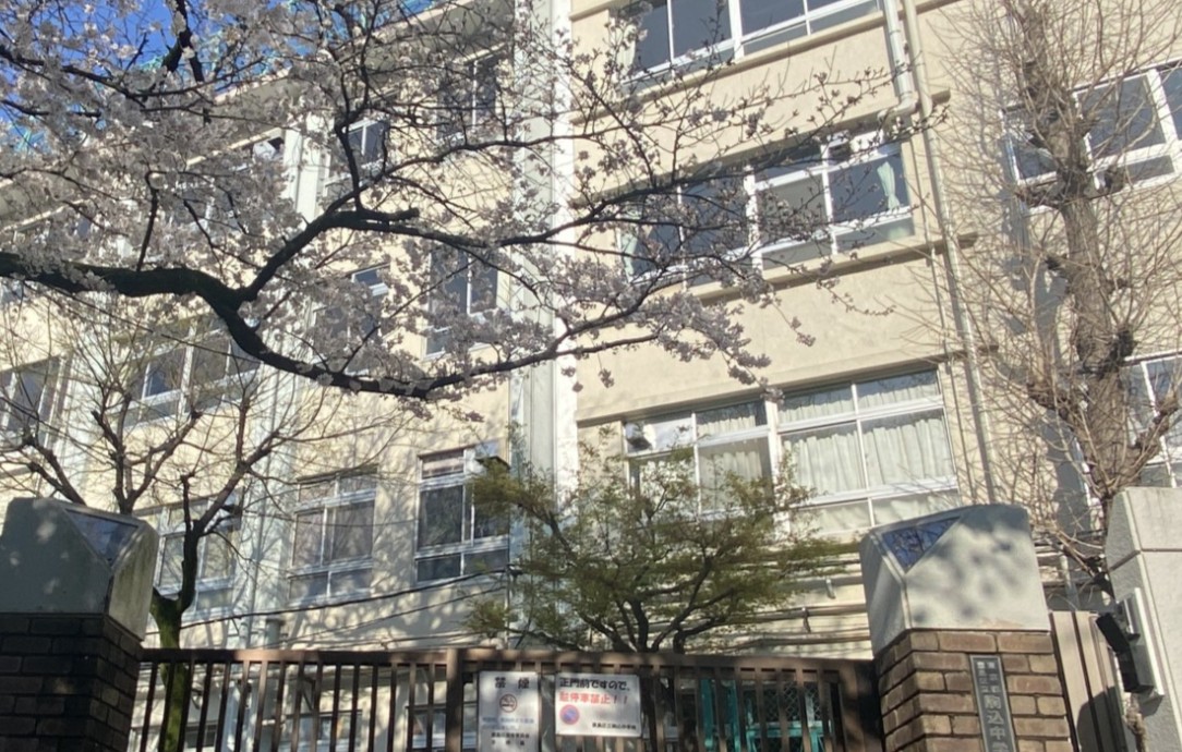 中学校　豊島区立駒込中学校（中学校）まで741m