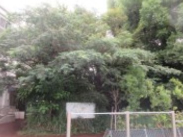 小学校　豊島区立仰高小学校（小学校）まで635m