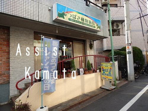東急大井町線 旗の台駅 徒歩5分 2階建 築8年の周辺写真
