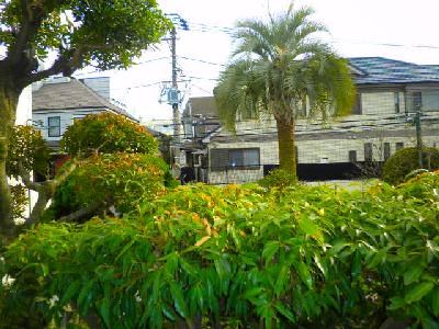 東急東横線 日吉駅 徒歩3分 2階建 築37年のその他写真