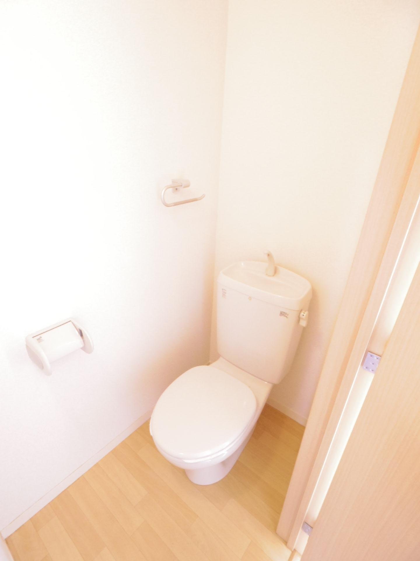 トイレ　※他号室写真です