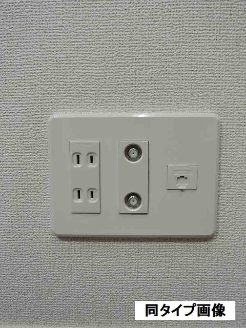 レガリアのその他写真