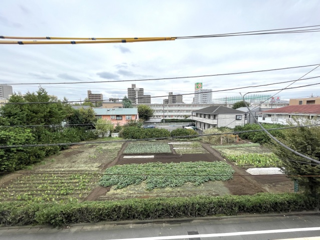眺望　眺望