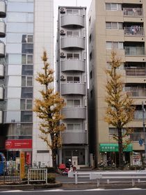 アール・ブリュット白山