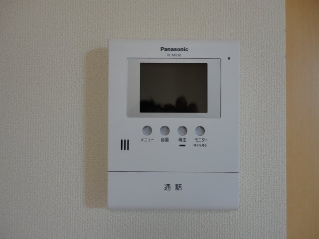 スイスチャードのその他写真