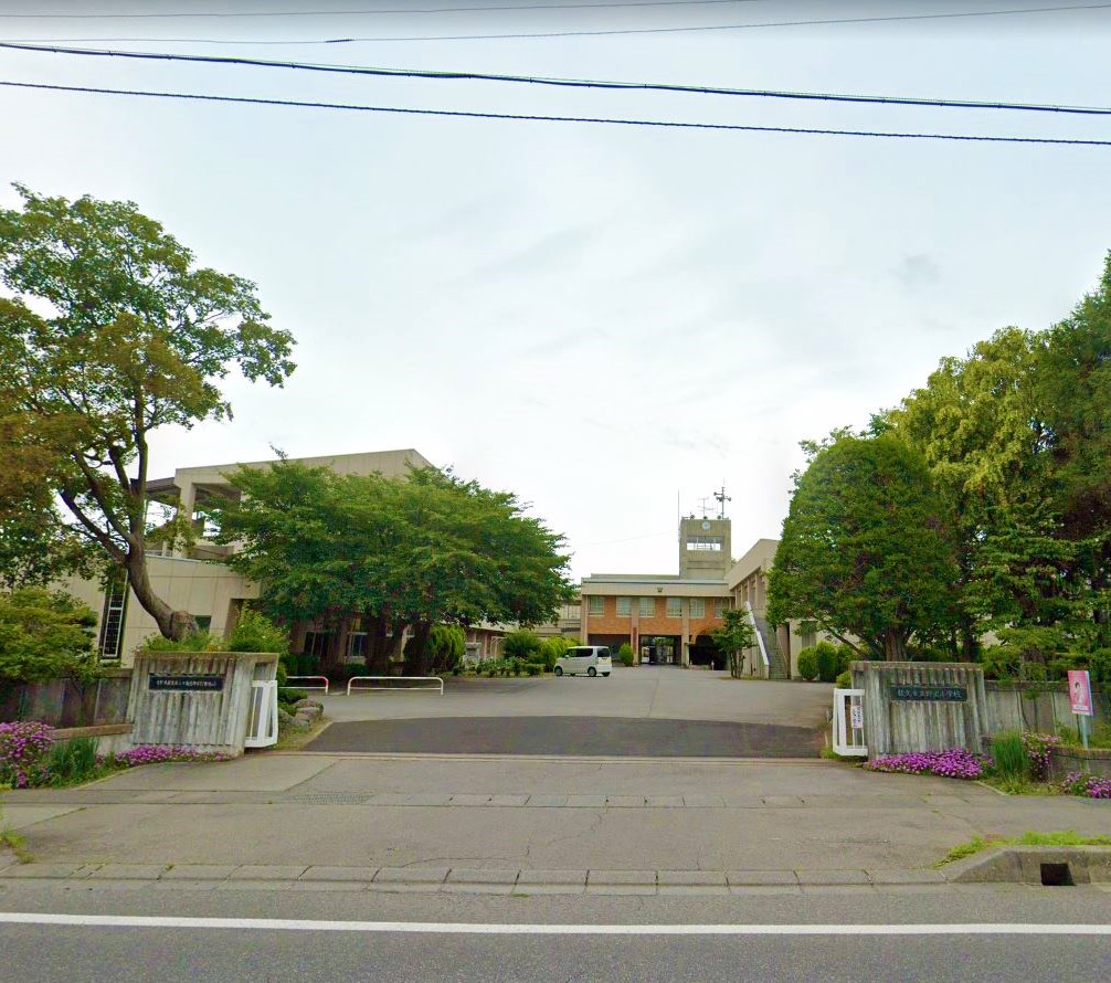 小学校　佐久市立野沢小学校（小学校）まで313m