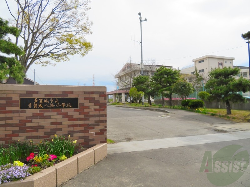 【多賀城市八幡のアパートの小学校】