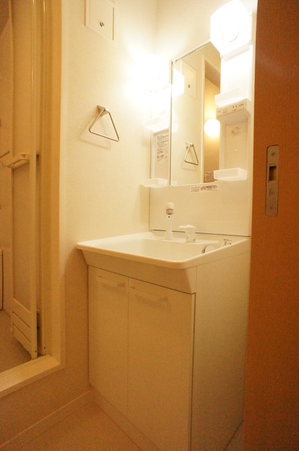 洗面設備　洗面台はシャンプードレッサータイプで髪も洗えます