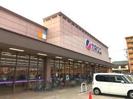 スーパー　カネスエ北園通店（スーパー）まで1429m