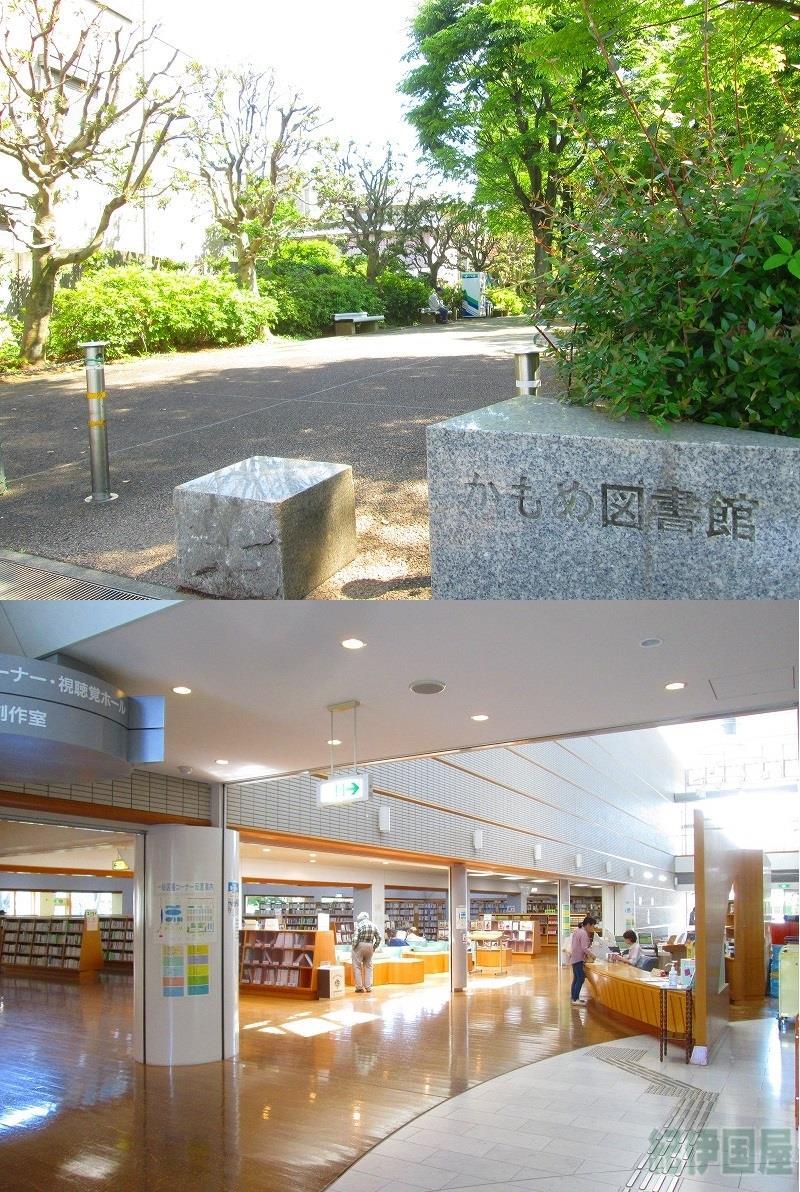 図書館　小田原市立中央図書館（図書館）まで773m