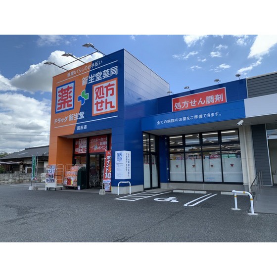 ドラックストア　ドラッグ新生堂国府店（ドラッグストア）まで1223m