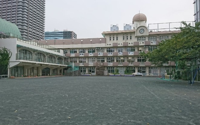 小学校　中央区立有馬小学校（小学校）まで445m