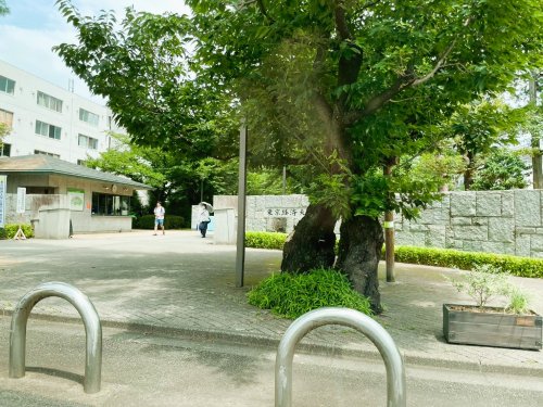 大学・短大　東京経済大学（大学・短大）まで1786m