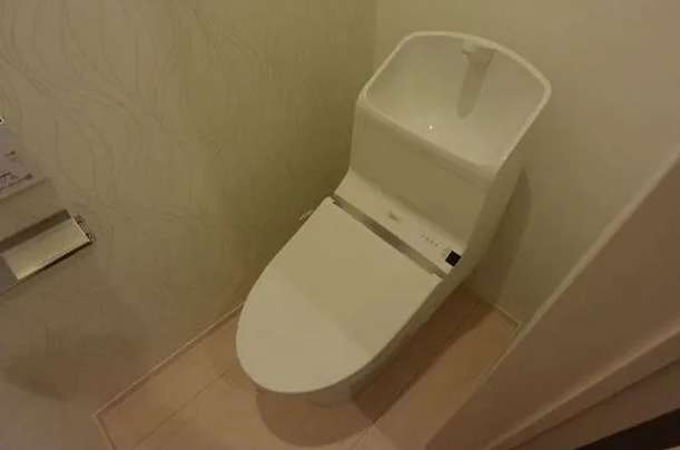 トイレ　コンパクトで使いやすいトイレです