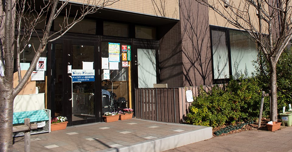 幼稚園・保育園　キッズポケット豊洲保育園（幼稚園・保育園）まで201m
