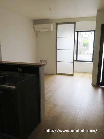 居室・リビング　LDK11.9帖