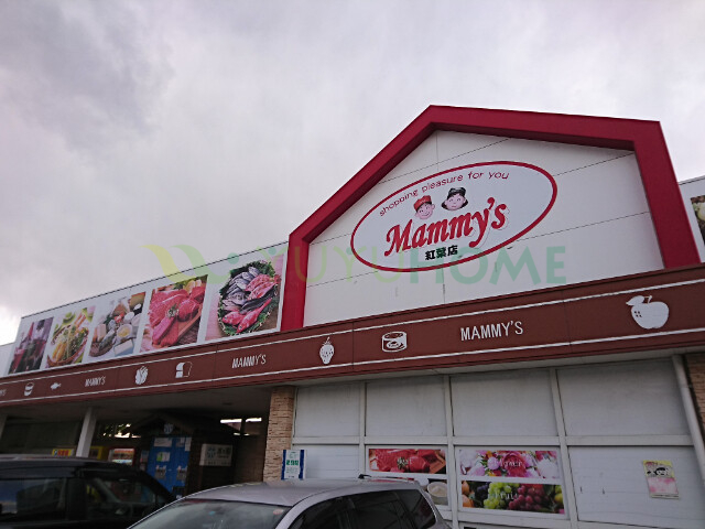 スーパー　マミーズ太宰府西店（スーパー）まで1269m