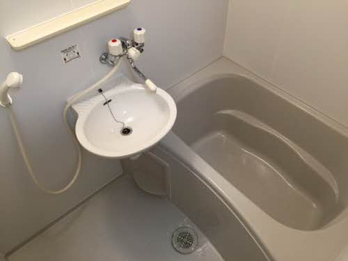 バス・シャワールーム　反転タイプの写真です。