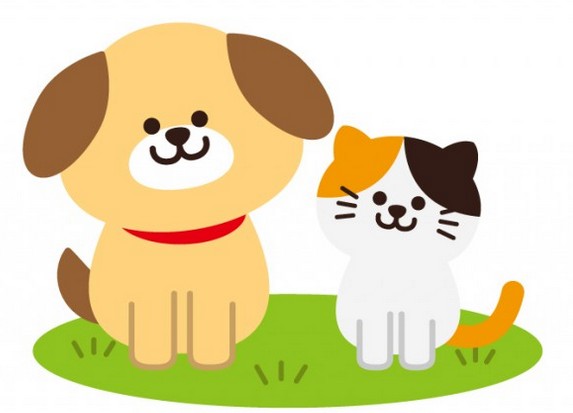 大学・短大　中央大学　理工学部（大学・短大）まで384m