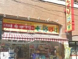 ドラックストア　どらっぐぱぱす 滝野川店（ドラッグストア）まで289m