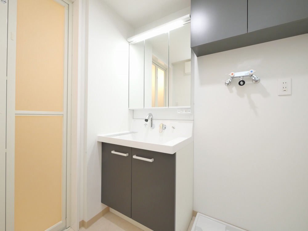 洗面設備　シャワードレッサー付きです！
